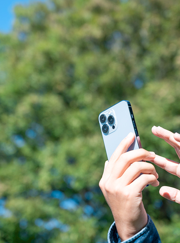 オンラインレッスン